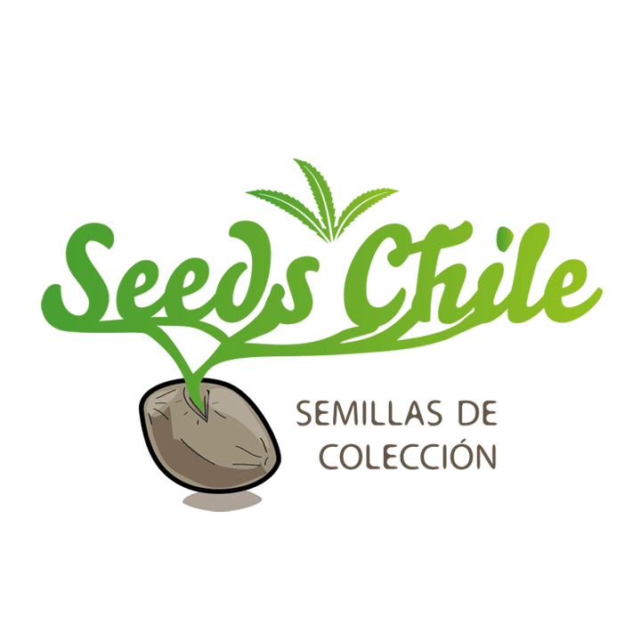Seeds Chile