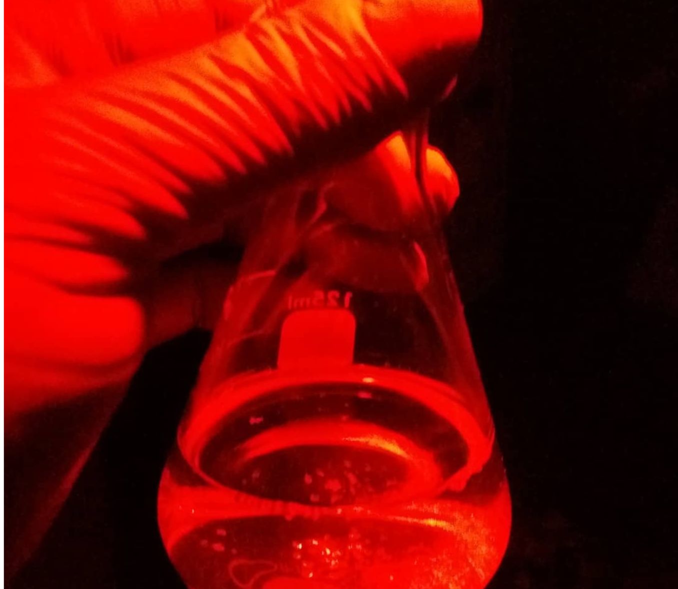 Manual de Uso KIT STS