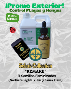 Pack promo exterior, control de plagas y hongos + 3 semillas feminizadas
